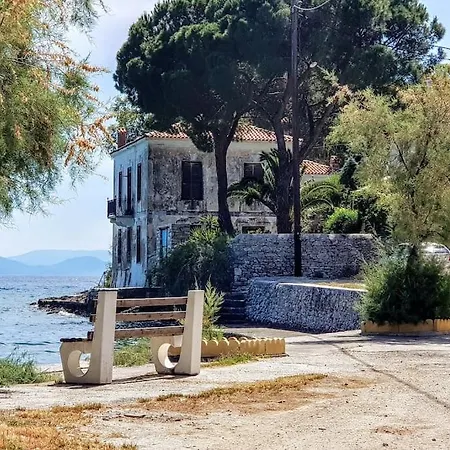 Jasmine By The Sea - κάτω γατζέα, πήλιο
